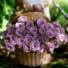 Exquisite Roses + Ruscus [Newsletter Exclusive]
